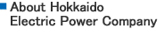 About Hokkaido Electric Power Company