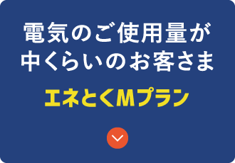 電気のご使用量が中くらいのお客さま エネとくMプラン